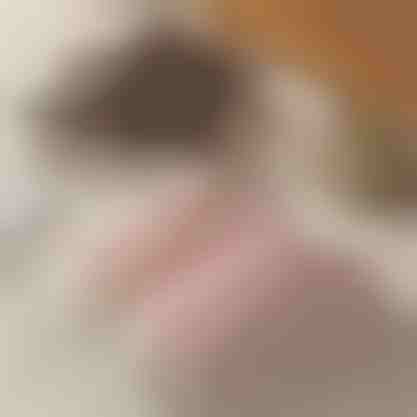 Papuci de iarnă calzi | COZYSTEPS