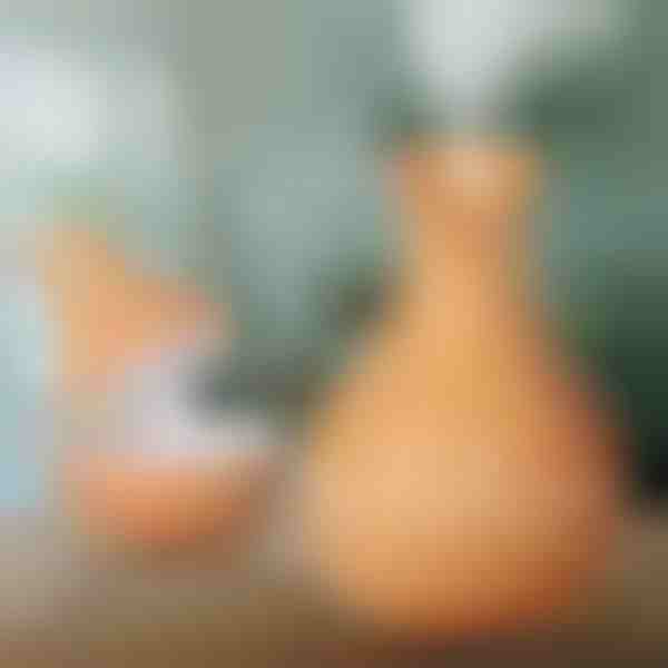 Umidificator din lemn | HUMISTER