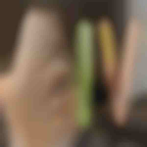 Placă pentru ondularea și îndreptarea părului TWISTLINE