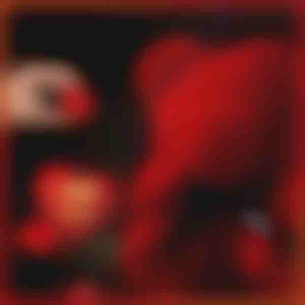 Cadoul care exprimă iubirea | LOVEBEAR