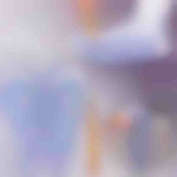 Activați punctele de sănătate – șosete de reflexoterapie pentru masaj zilnic | FEETRA